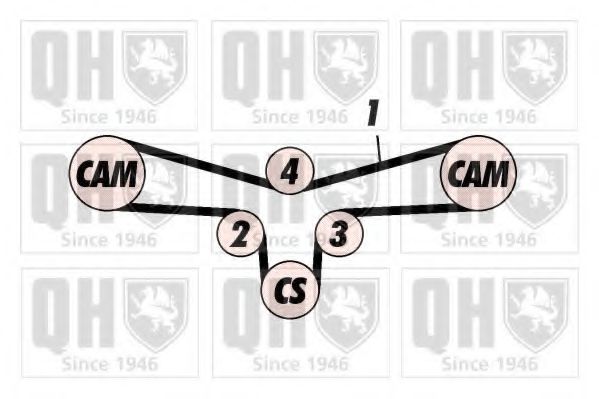 QTB366 Curea de distributie QUINTON HAZELL 