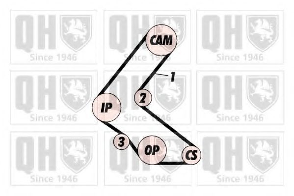 QTB665 Curea de distributie QUINTON HAZELL 