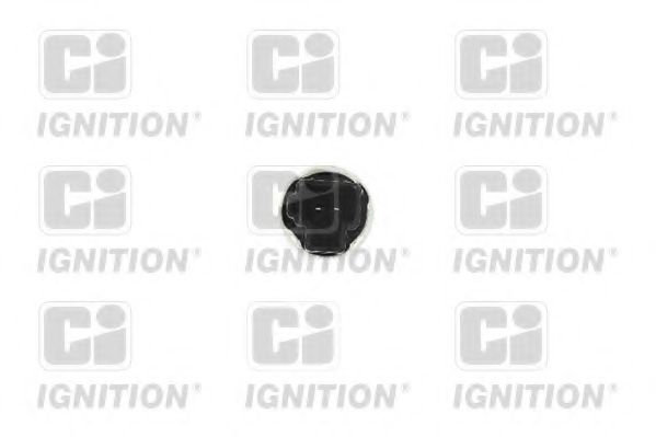 XBLS292 Intrerupator, control automat al vitezei QUINTON HAZELL 