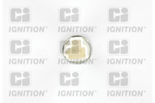 XBLS294 Intrerupator, control automat al vitezei QUINTON HAZELL 