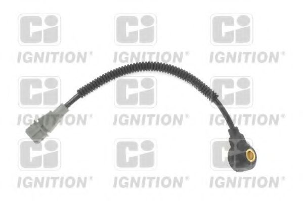 XKS124 Senor batai QUINTON HAZELL 