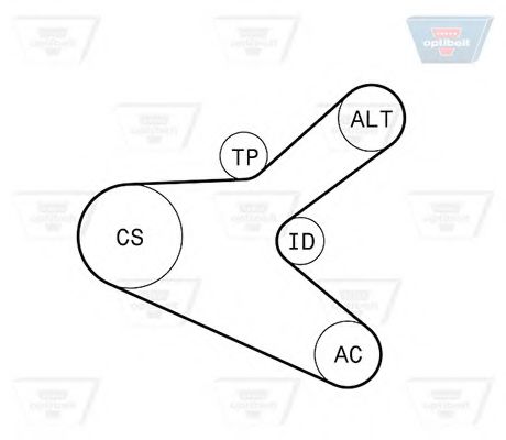 Set curea transmisie cu caneluri 3
