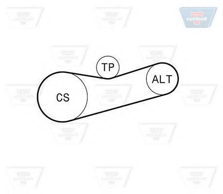 Set curea transmisie cu caneluri 3