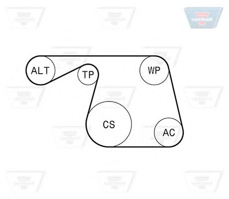 Set curea transmisie cu caneluri 3