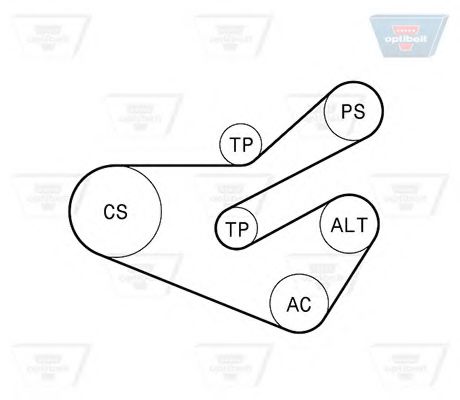 Set curea transmisie cu caneluri 3