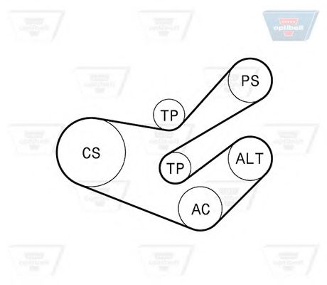 Set curea transmisie cu caneluri 3