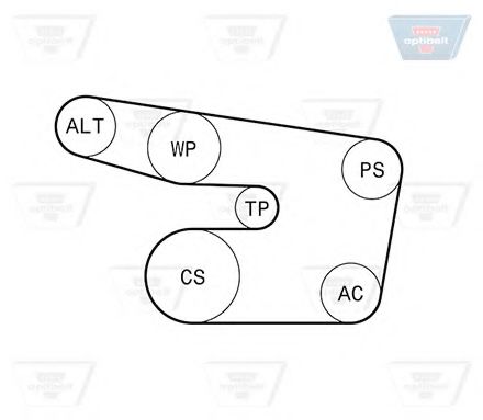 Set curea transmisie cu caneluri 3