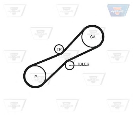 Curea de distributie 3