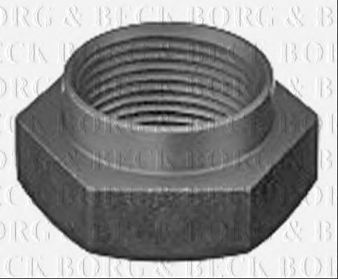 BHN202 piulita,ax BORG & BECK 