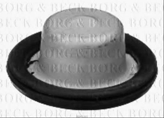 BSM5365 Saiba arc BORG & BECK 