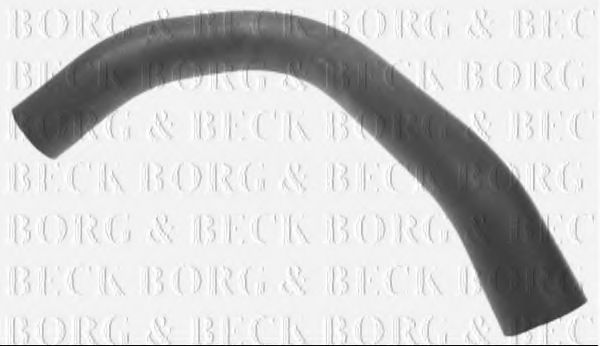 BTH1048 Furtun ear supraalimentare BORG & BECK 