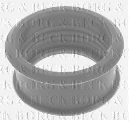 BTH1060 Furtun ear supraalimentare BORG & BECK 