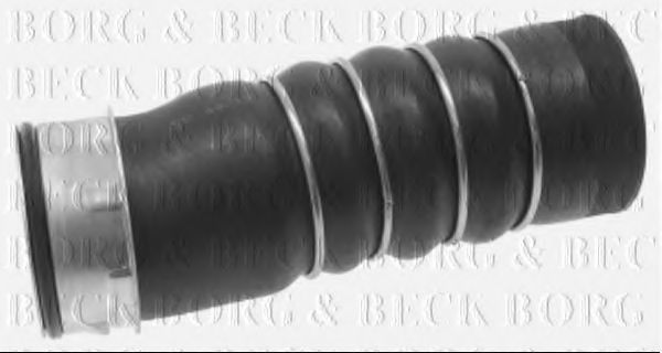 BTH1154 Furtun ear supraalimentare BORG & BECK 