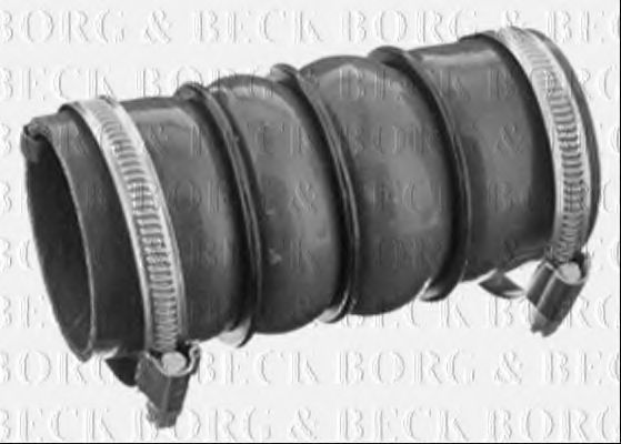BTH1225 Furtun ear supraalimentare BORG & BECK 