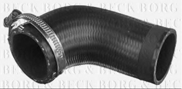 BTH1229 Furtun ear supraalimentare BORG & BECK 