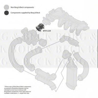 Furtun ear supraalimentare 2