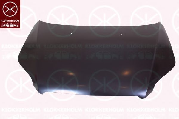1135281 Capota motor KLOKKERHOLM 