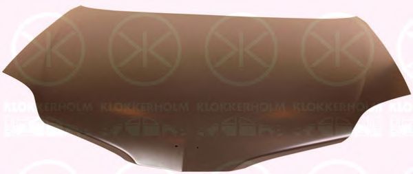 1670280 Capota motor KLOKKERHOLM 