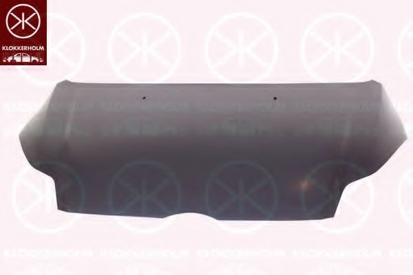 2536280 Capota motor KLOKKERHOLM 