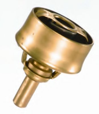 termostat,lichid racire 2