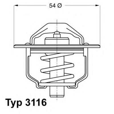 termostat,lichid racire