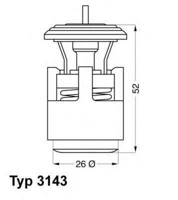 termostat,lichid racire