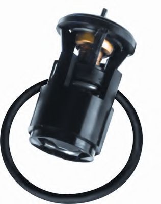 termostat,lichid racire 2
