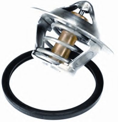 termostat,lichid racire 2