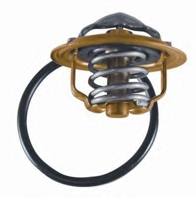 termostat,lichid racire 2
