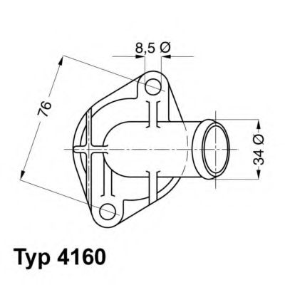 termostat,lichid racire