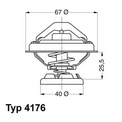 termostat,lichid racire