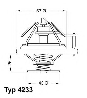 termostat,lichid racire