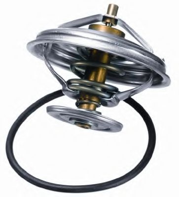 termostat,lichid racire 2