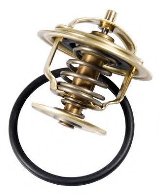 termostat,lichid racire 2