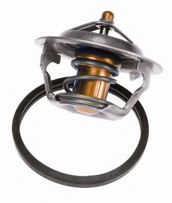 termostat,lichid racire 2