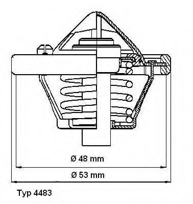 termostat,lichid racire