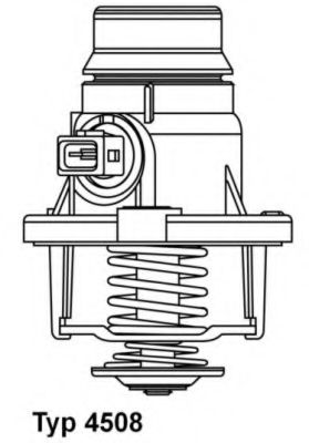 termostat,lichid racire