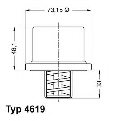 termostat,lichid racire 2