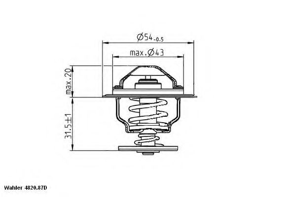 termostat,lichid racire