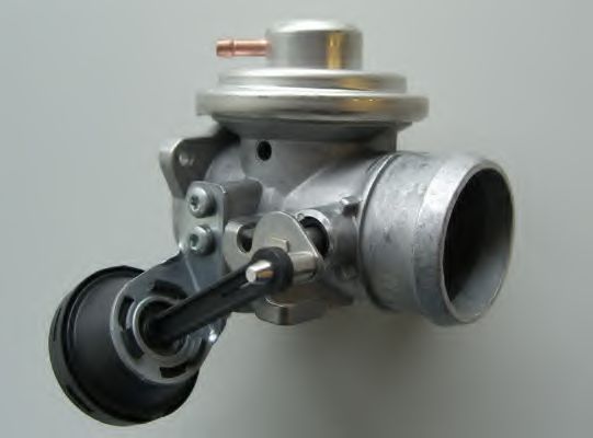 7293D Supapa EGR WAHLER 